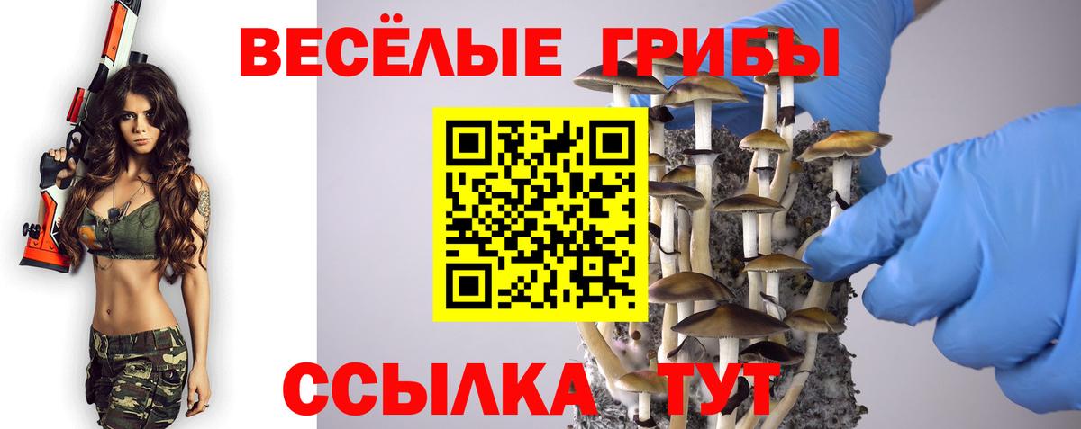 Галлюциногенные грибы GOLDEN TEACHER  Вход с VPN  Баксан  Галлюциногенные грибы Psilocybine cubensis 